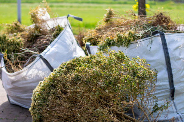 Best Electronics and E-Waste Disposal  in Fergus Falls, MN