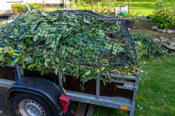 Best Dumpster Rental Services  in Fergus Falls, MN